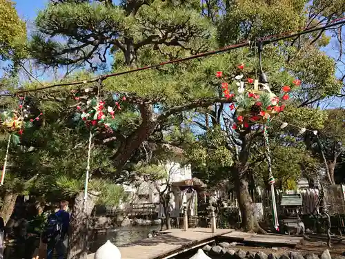平塚八幡宮の自然