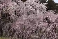 たばこ神社(栃木県)