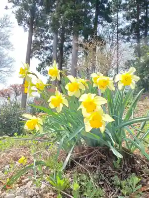 白狐山光星寺(山形県)