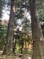 河口浅間神社の自然