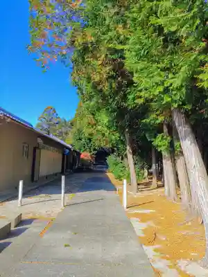 日割神社（西中野）のその他建物