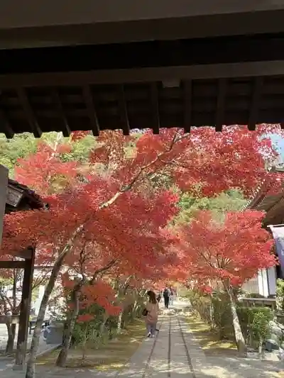 永興寺の建物その他