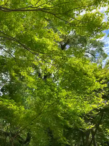 曼殊院門跡(京都府)