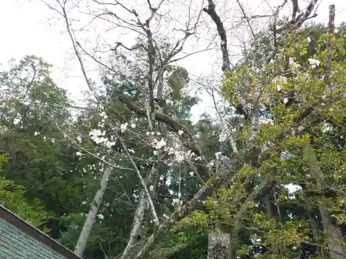 熊野本宮大社(和歌山県)