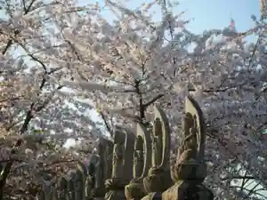 極楽山 浄土寺の仏像(2022年05月02日(月) 22時30分14秒投稿)