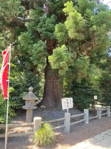 小川温泉神社の建物その他