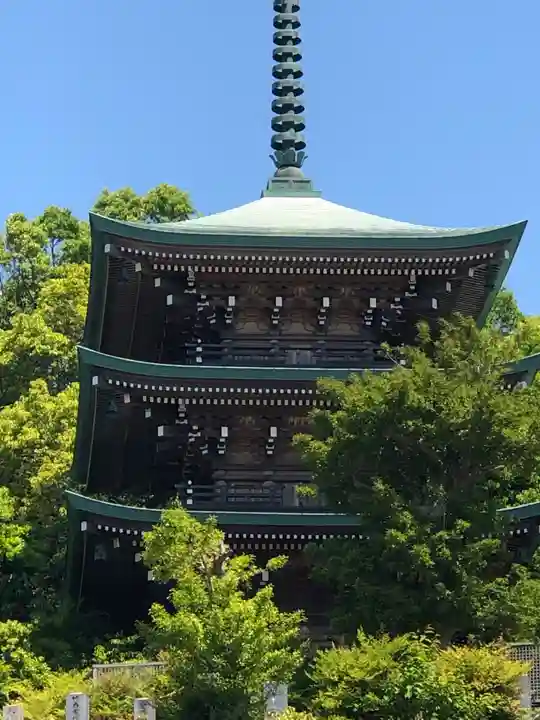 随念寺(愛知県)