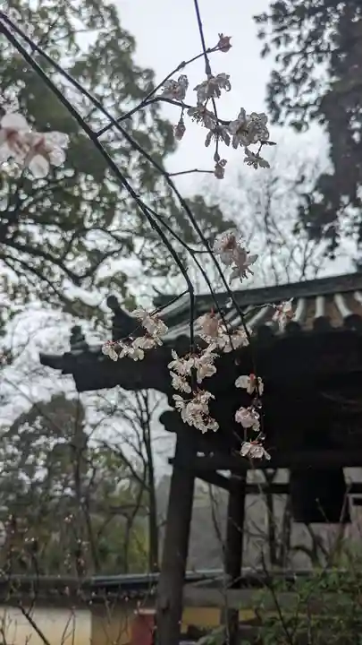 十輪寺(京都府)