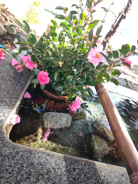 高司神社〜むすびの神の鎮まる社〜の手水舎