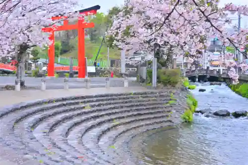 富士山本宮浅間大社(静岡県)