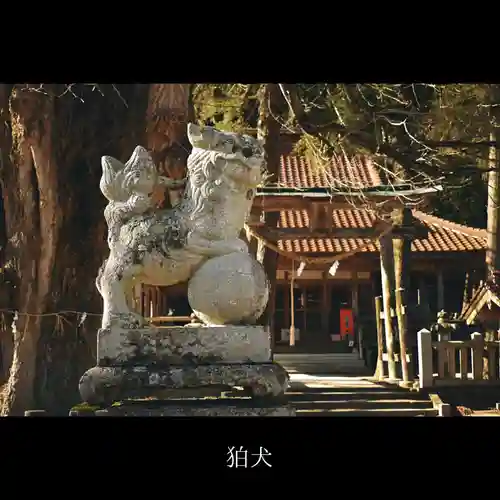 筒賀大歳神社の狛犬