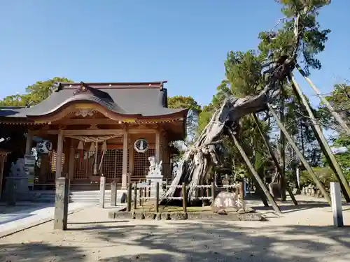 新北神社の建物その他