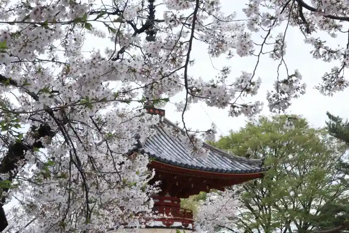 喜多院の{uncategorized: "未分類", other: "その他", undefined: "問題あり", building: "その他建物", grave: "お墓", sacred_gate: "鳥居", guardian: "狛犬", statue: "像", buddha: "仏像", history: "歴史", nature: "自然", garden: "庭園", animal: "動物", pagoda: "塔", temizu: "手水舎", mountain_gate: "山門・神門", sanctuary: "本殿・本堂", subordinate: "末社・摂社", art: "芸術", scenery: "景色", jizo: "地蔵", ema: "絵馬", goshuin: "御朱印", omikuji: "おみくじ", items: "授与品その他", amulet: "お守り", goshuincho: "御朱印帳", eats: "食事", festival: "お祭り", votive_dance: "神楽", shichigosan: "七五三参", wedding: "結婚式", experience: "体験その他", initially: "初詣", around: "周辺", anti_infection: "感染症対策"}