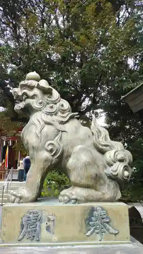 青山熊野神社の狛犬