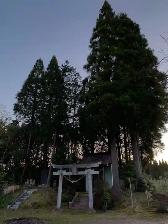 大山祇神社の鳥居