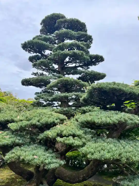 華厳寺(鈴虫寺)(京都府)
