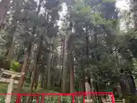 大宮温泉神社(栃木県)