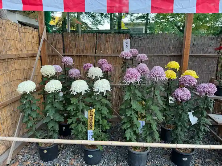 諏訪大社下社秋宮(長野県)