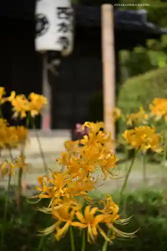 横浜　西方寺(神奈川県)