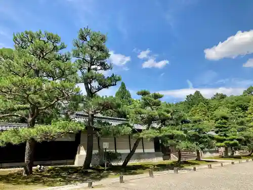 妙興報恩禅寺（妙興寺）のその他建物
