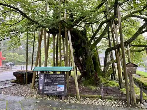 輪王寺(栃木県)