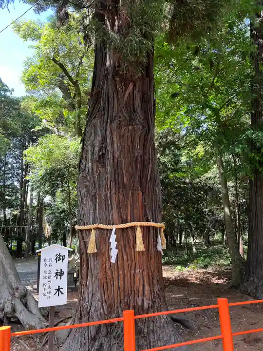息栖神社(茨城県)