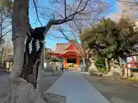 戸部杉山神社の本殿・本堂