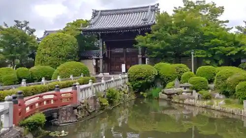 妙満寺の庭園