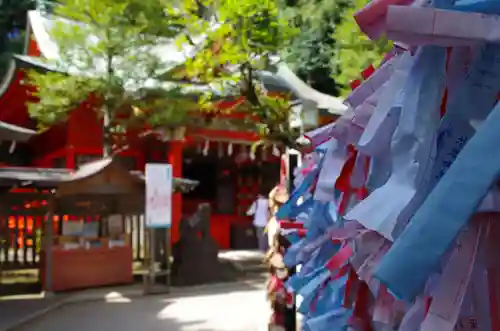 江島神社のおみくじ