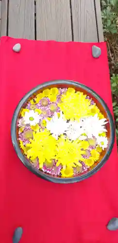 増上寺塔頭 三縁山 宝珠院の手水舎