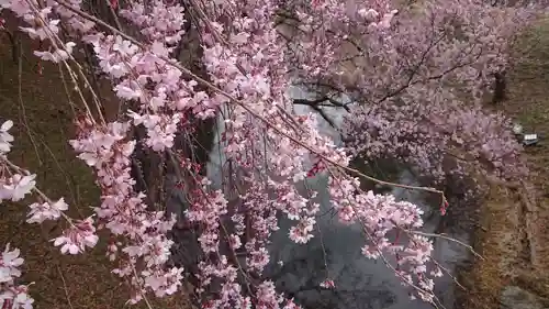 眞田神社の自然