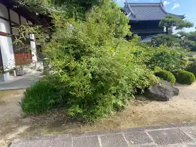 西林寺(愛媛県)