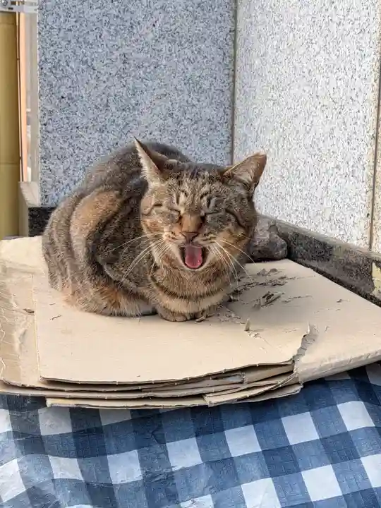 白金氷川神社(東京都)