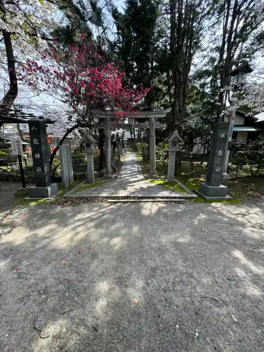 真清田神社(愛知県)