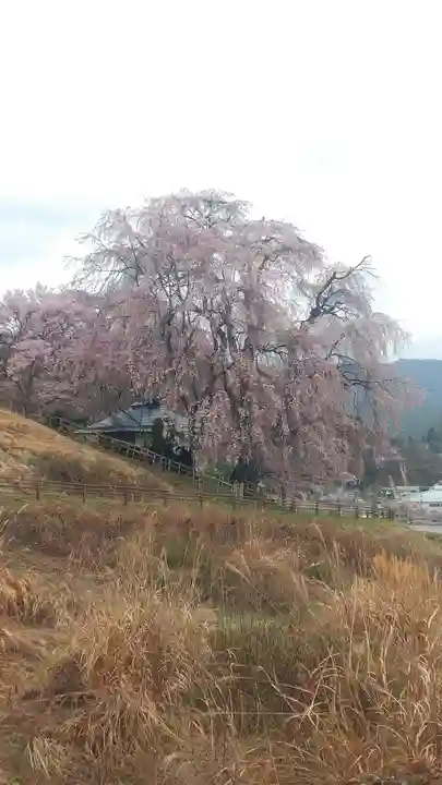 勝間薬師堂(長野県)