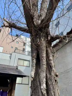 二ツ谷稲荷神社の{uncategorized: "未分類", other: "その他", undefined: "問題あり", building: "その他建物", grave: "お墓", sacred_gate: "鳥居", guardian: "狛犬", statue: "像", buddha: "仏像", history: "歴史", nature: "自然", garden: "庭園", animal: "動物", pagoda: "塔", temizu: "手水舎", mountain_gate: "山門・神門", sanctuary: "本殿・本堂", subordinate: "末社・摂社", art: "芸術", scenery: "景色", jizo: "地蔵", ema: "絵馬", goshuin: "御朱印", omikuji: "おみくじ", items: "授与品その他", amulet: "お守り", goshuincho: "御朱印帳", eats: "食事", festival: "お祭り", votive_dance: "神楽", shichigosan: "七五三参", wedding: "結婚式", experience: "体験その他", initially: "初詣", around: "周辺", anti_infection: "感染症対策"}