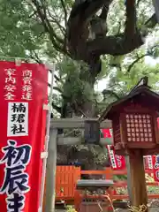 楠珺社の鳥居