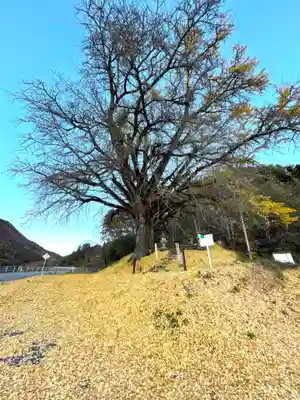 横川天白社(長野県)