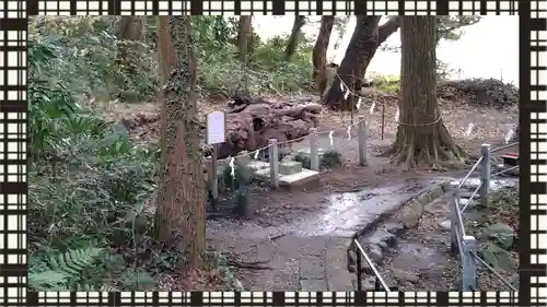 泉神社(茨城県)