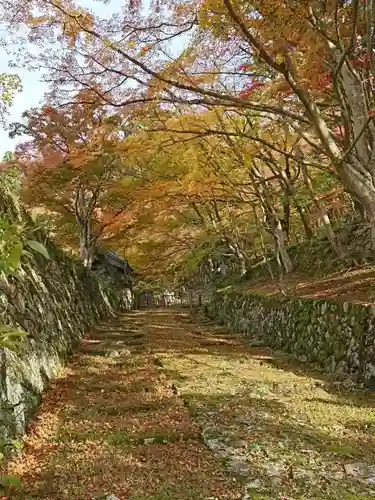 百済寺の自然