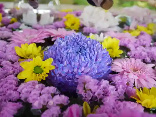 竹駒神社(宮城県)