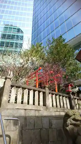  六本木天祖神社の自然