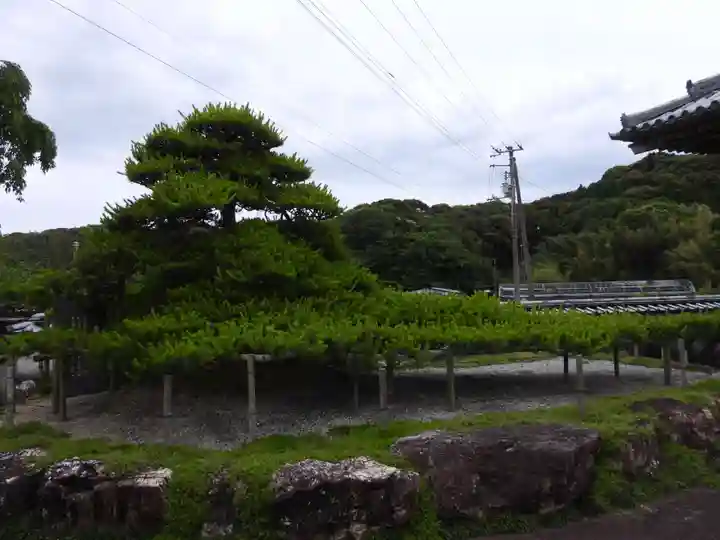 種間寺(高知県)