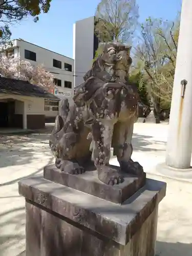 挙母神社の狛犬