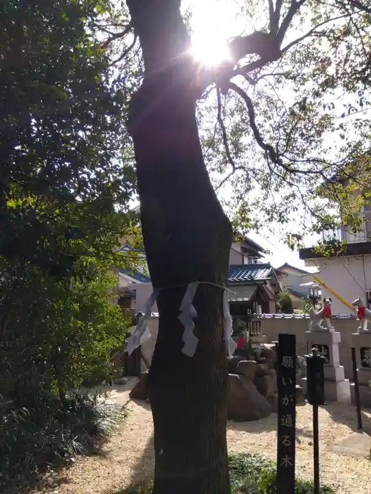 玉三稲荷神社(三重県)
