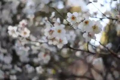 長仙寺(東京都)