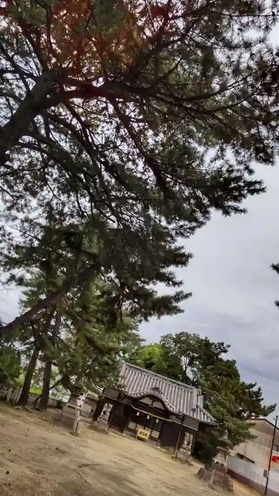 中畝神社の本殿・本堂