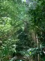 浅間神社(千葉県)