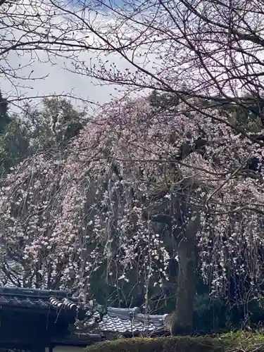 岩屋寺(京都府)