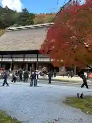 永源寺(滋賀県)